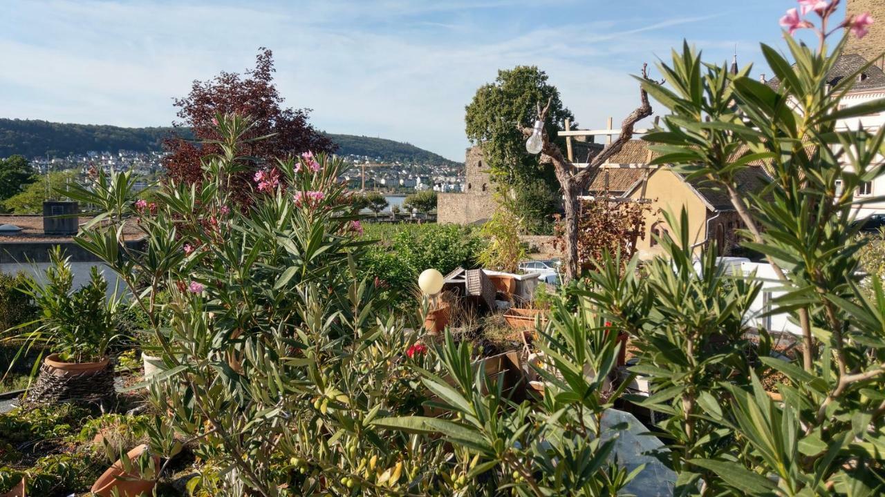 Artstudio Rudesheim Apartment Rudesheim am Rhein Bagian luar foto
